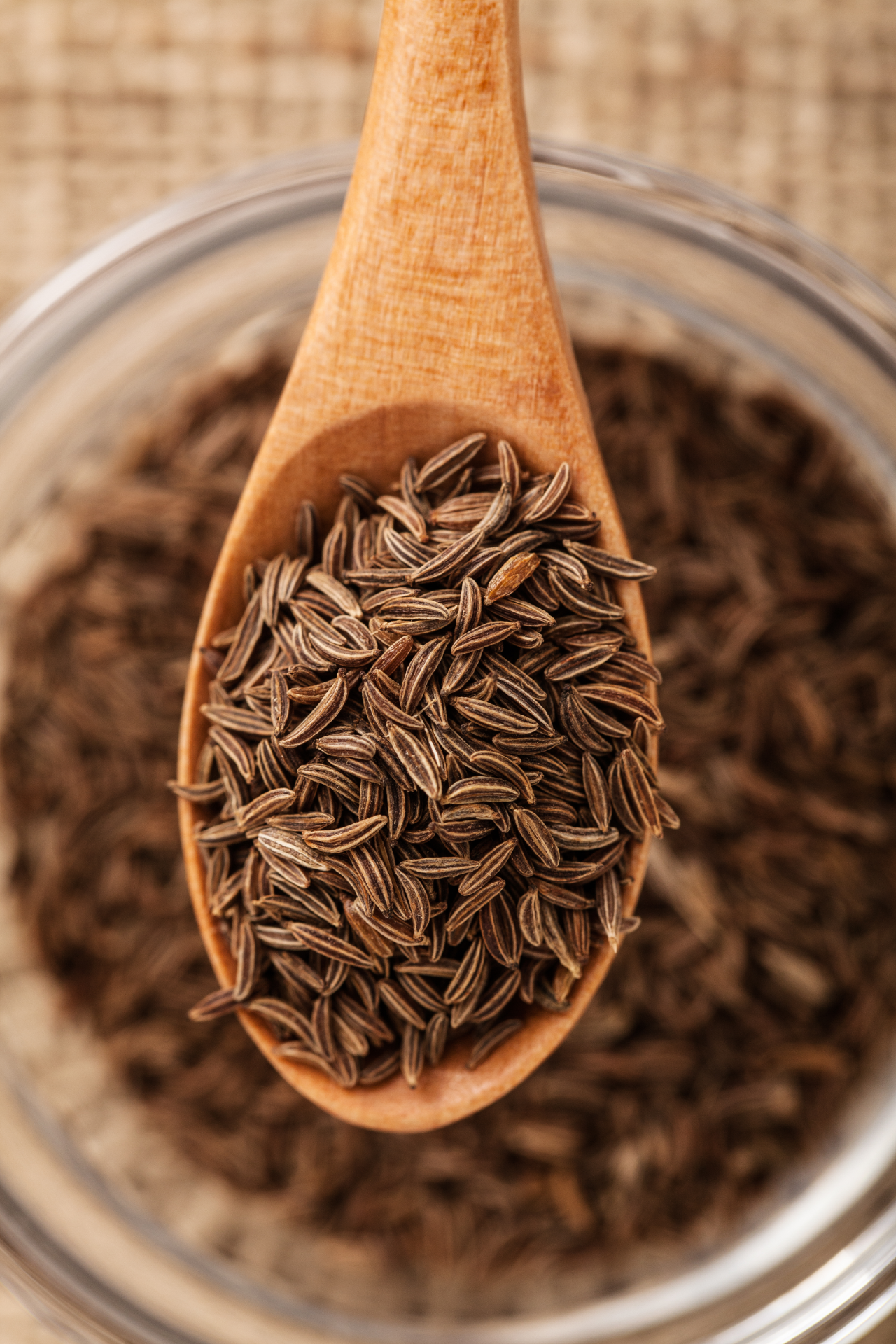 caraway