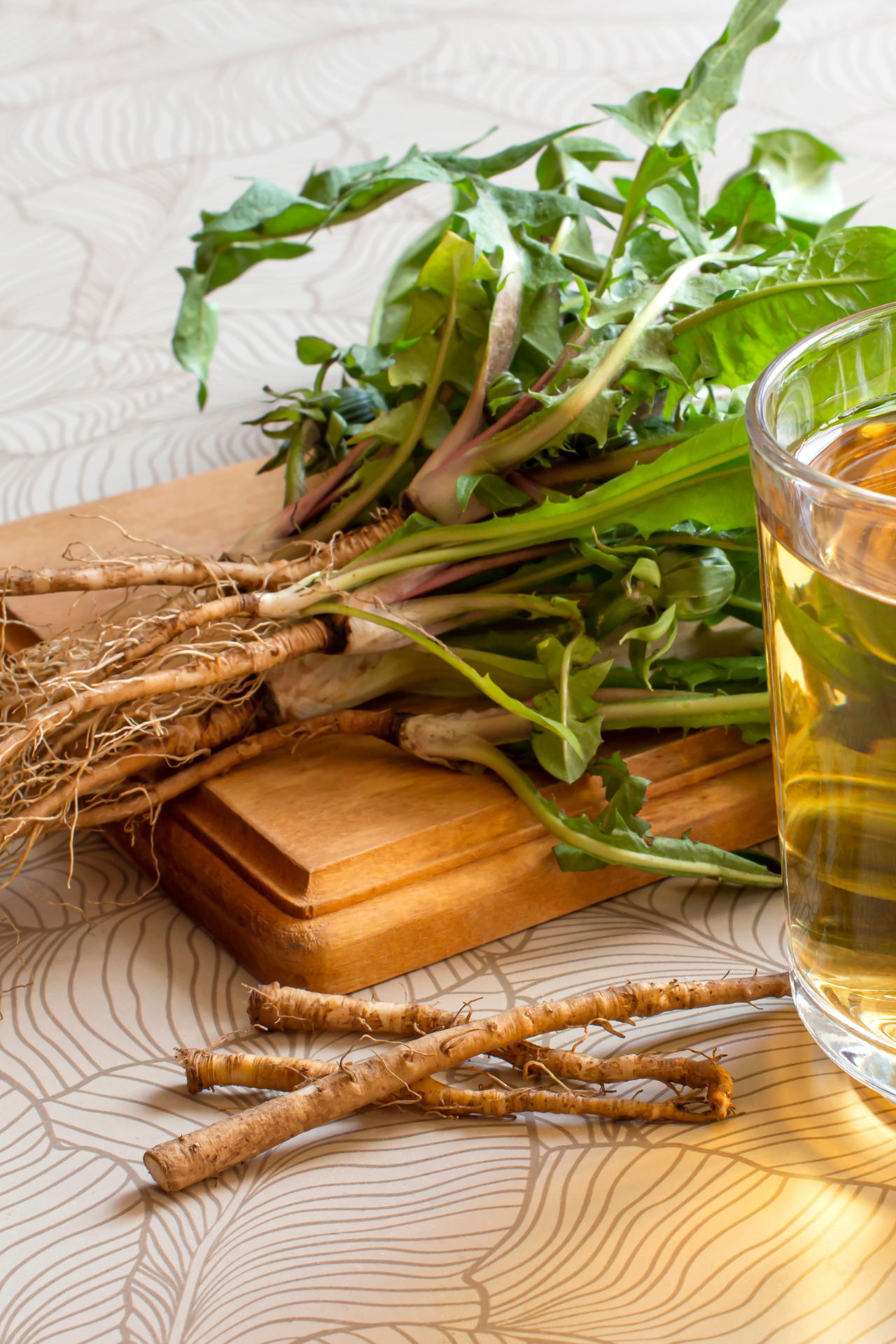 dandelion