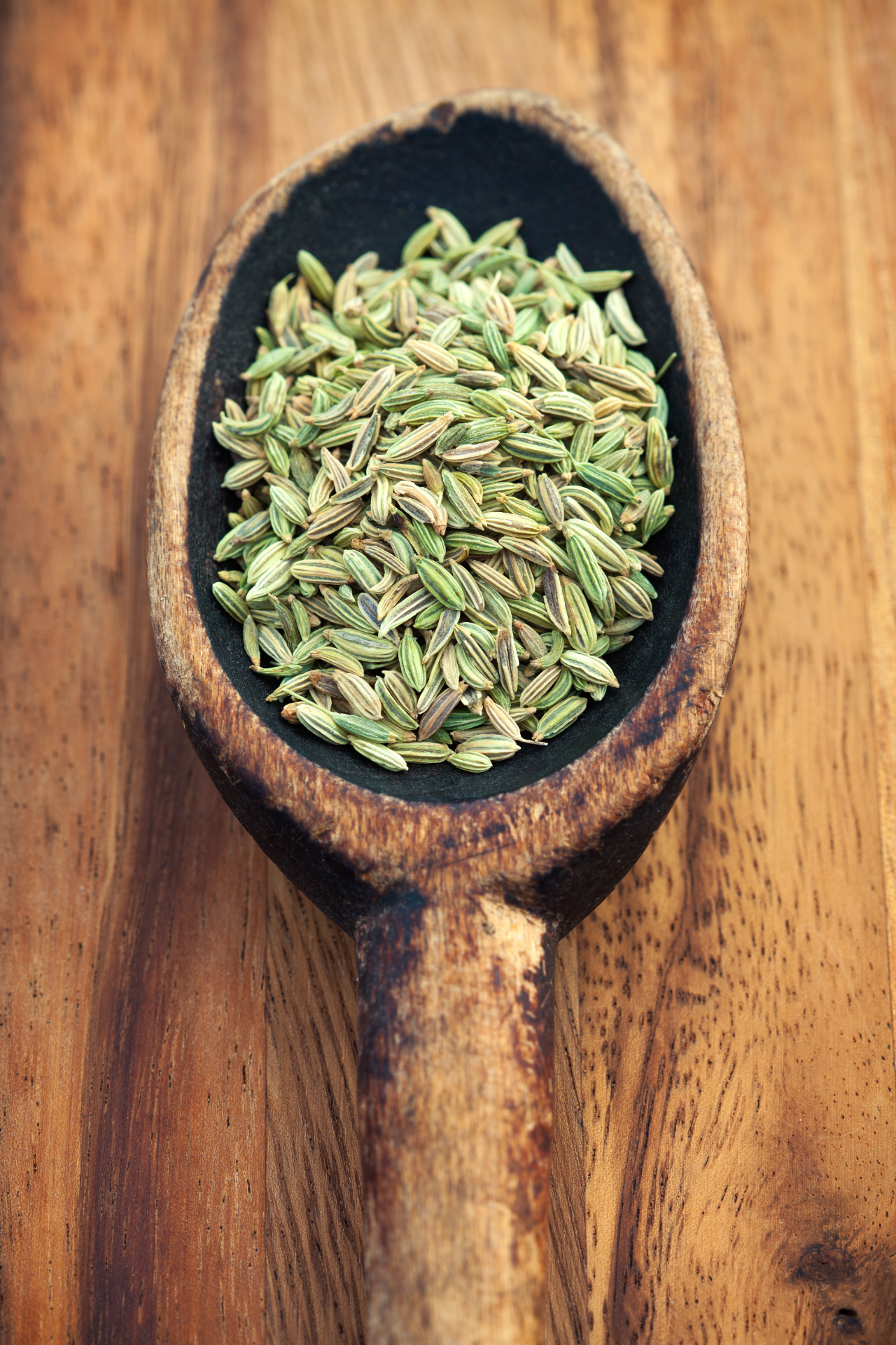 fennel