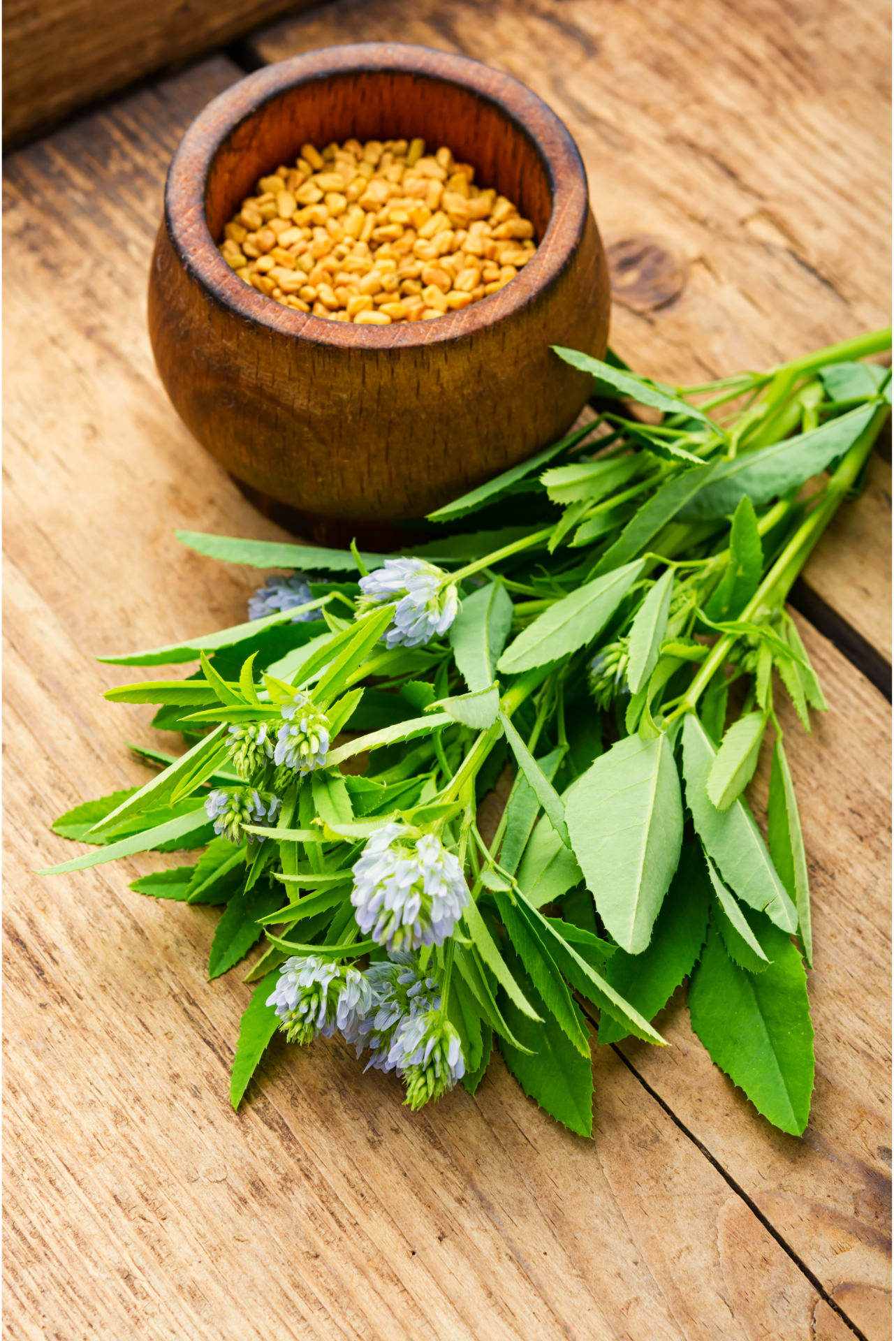 fenugreek