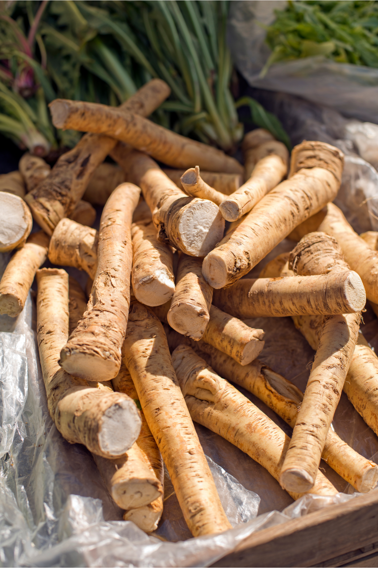 horseradish