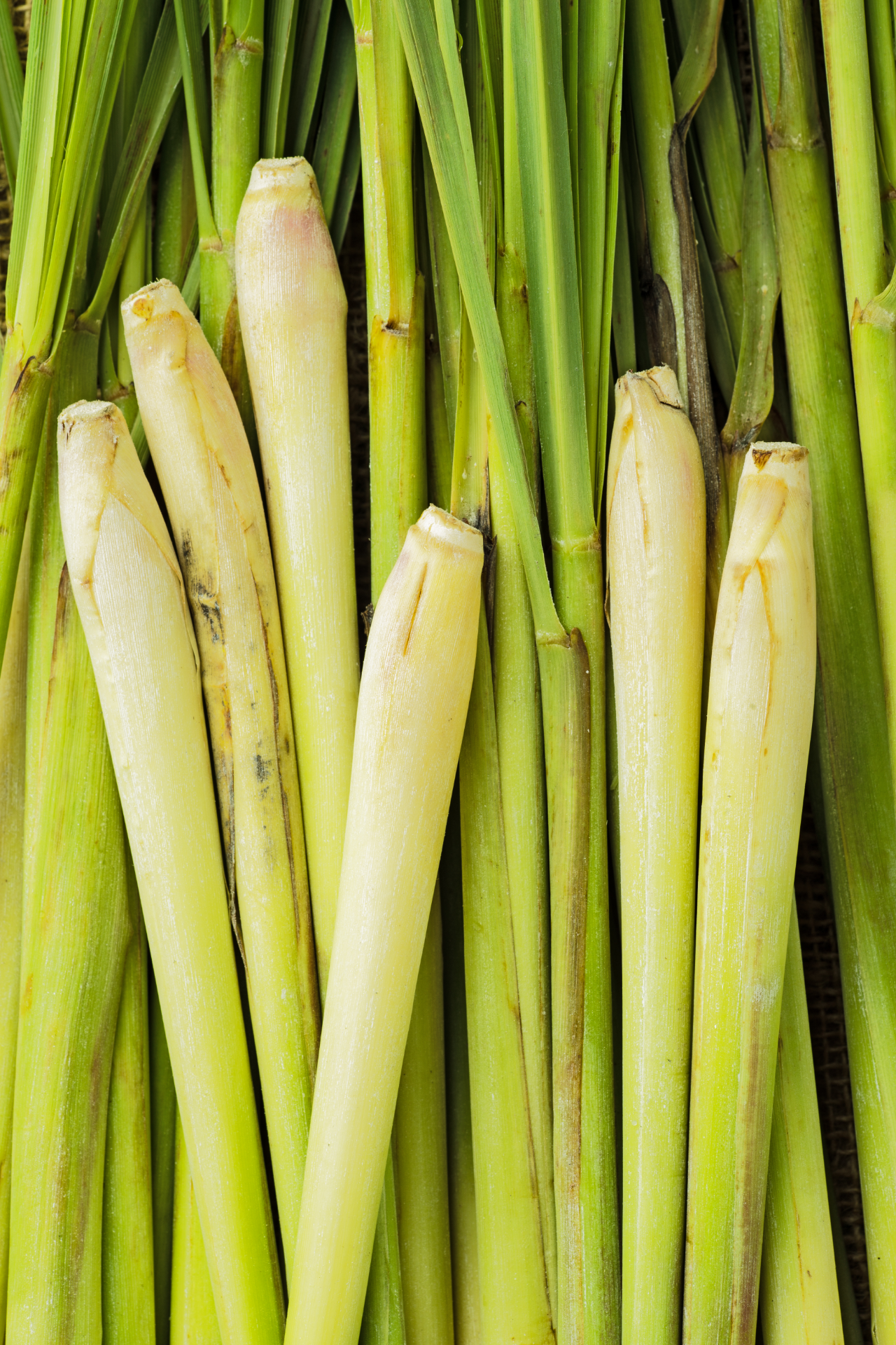 lemongrass