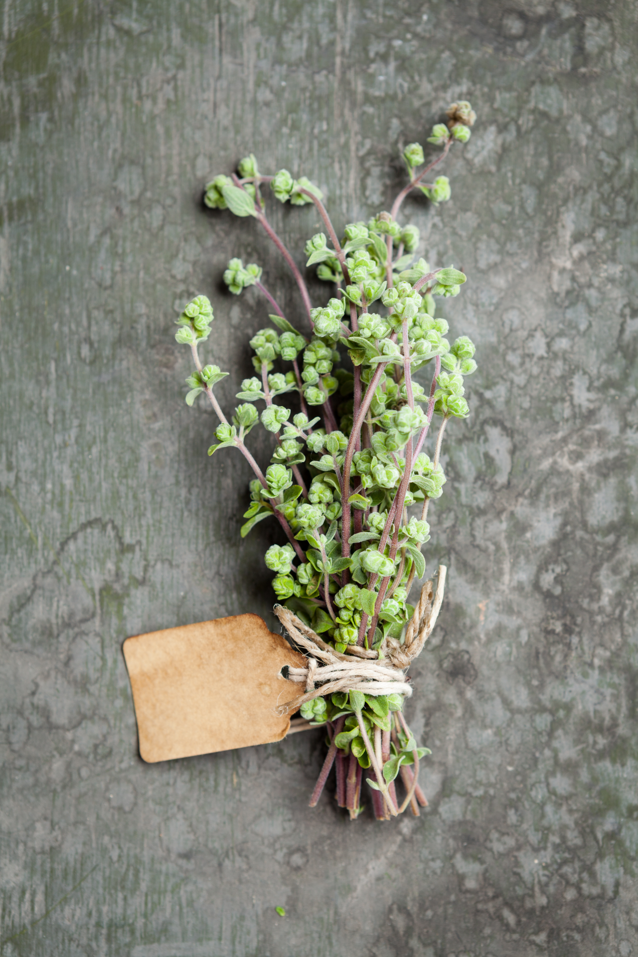 marjoram