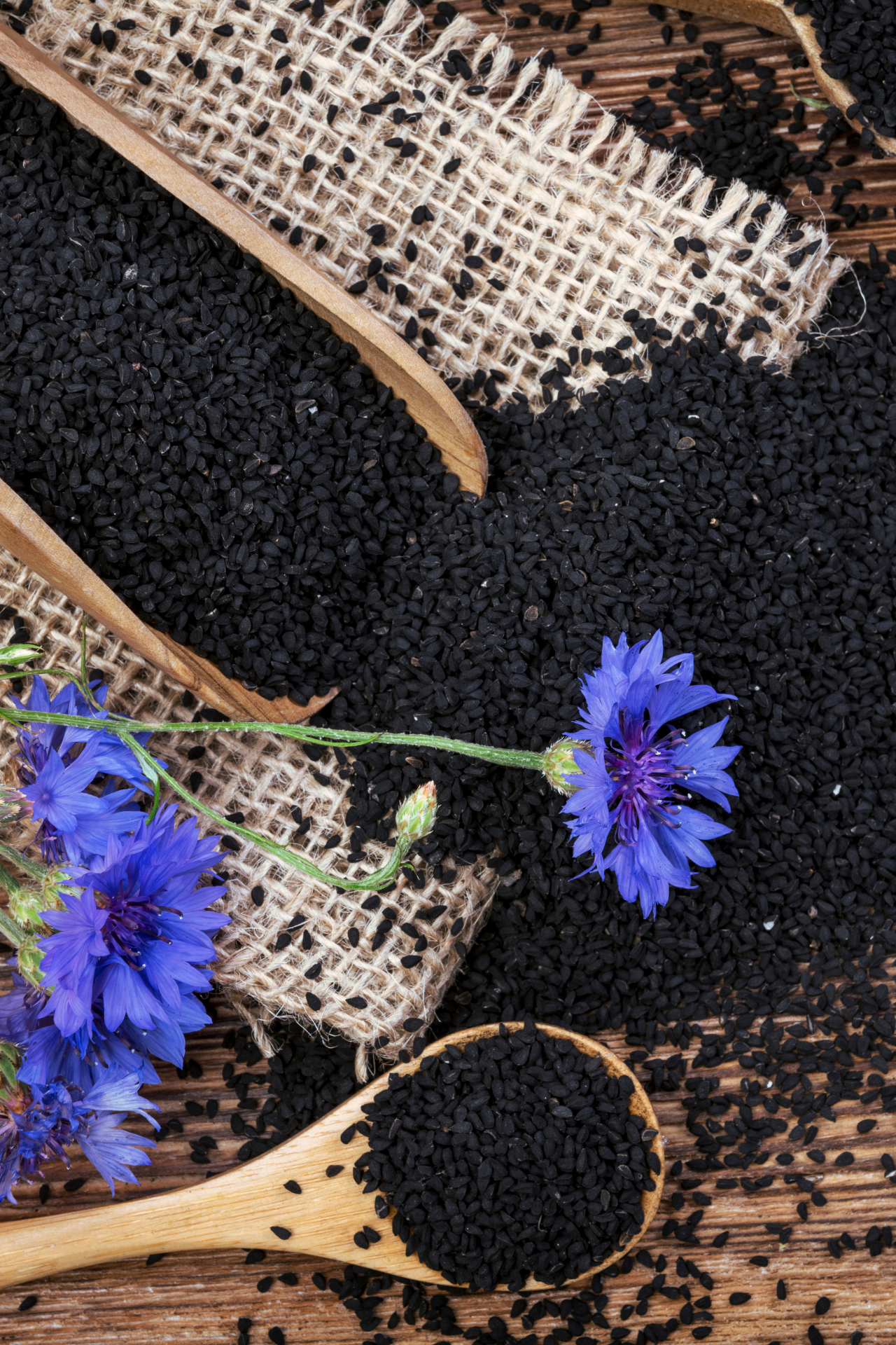 nigella