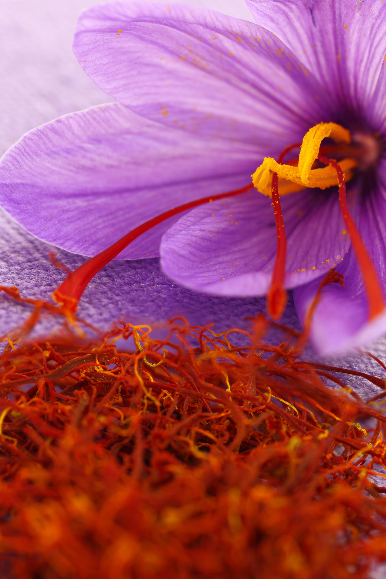 saffron