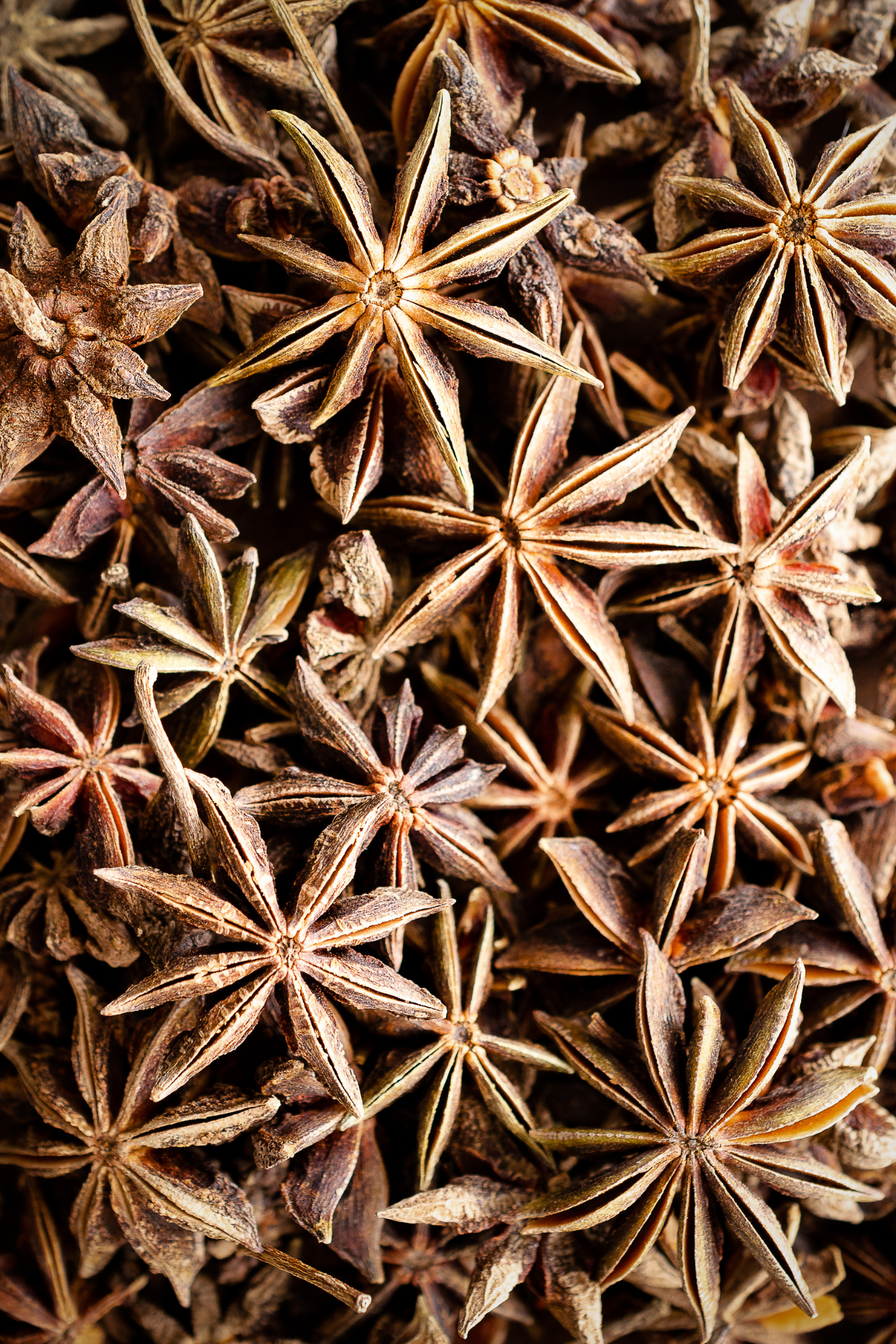 star_anise