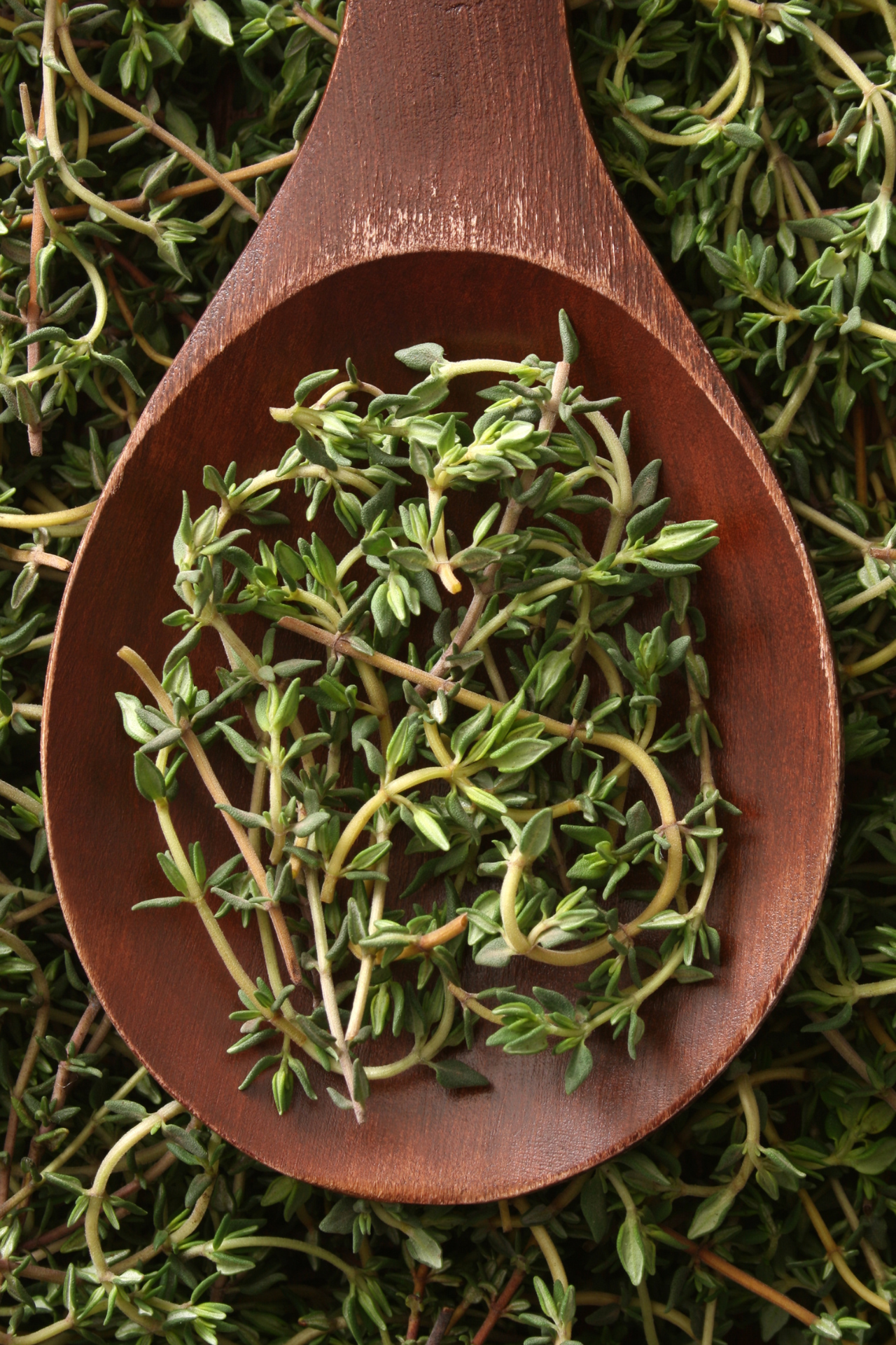 thyme