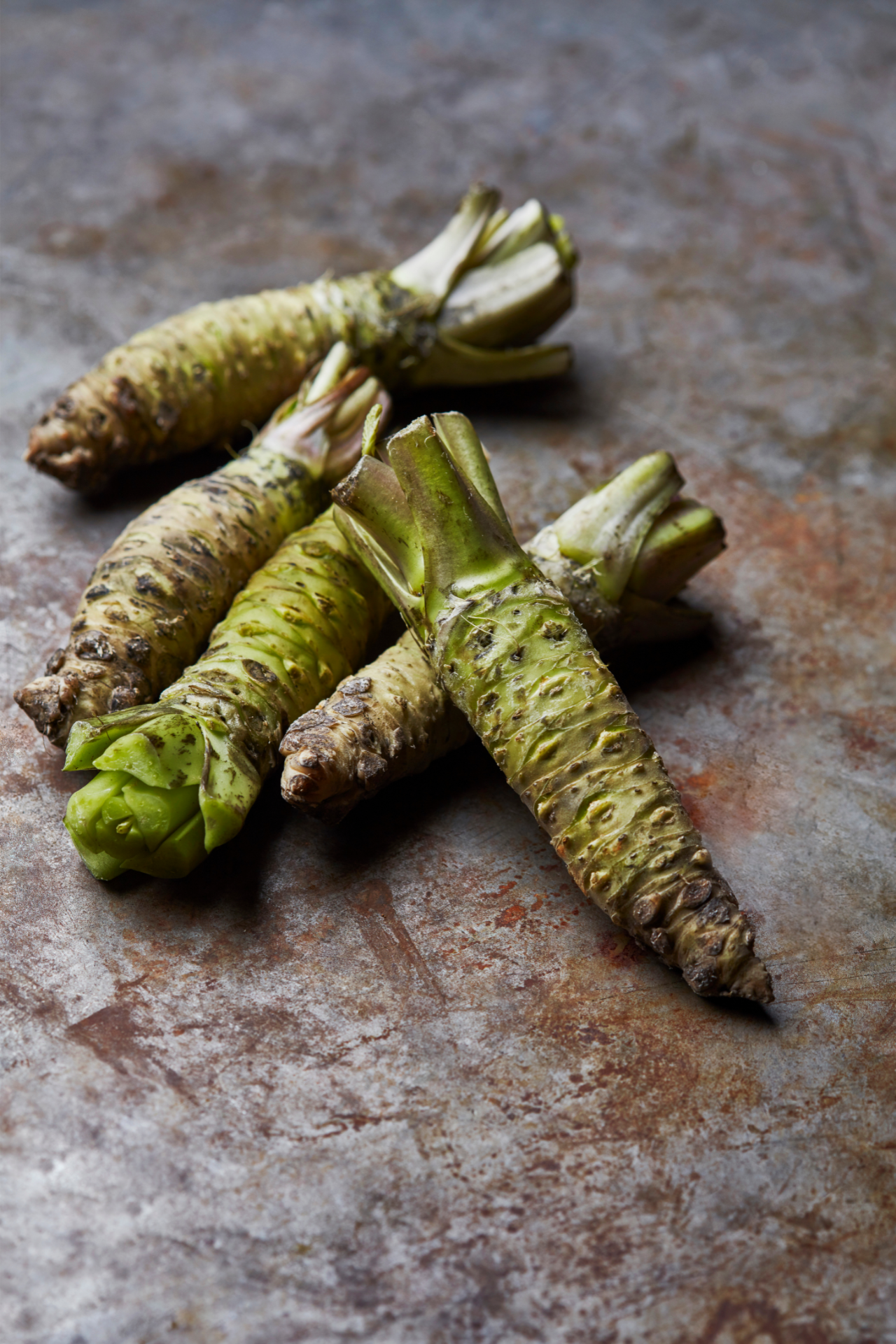 wasabi